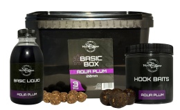 Basic Box - Aqua Plum