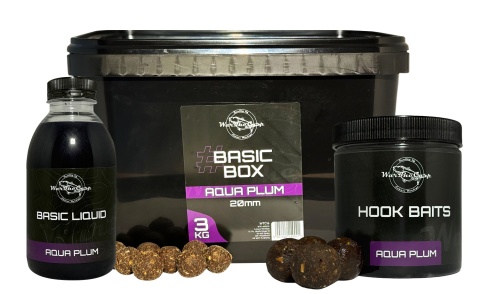 Basic Box - Aqua Plum