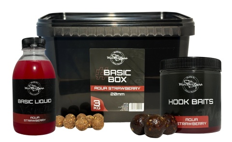 Basic Box - Aqua Strawberry