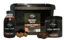 Basic Box - Aqua Tiger